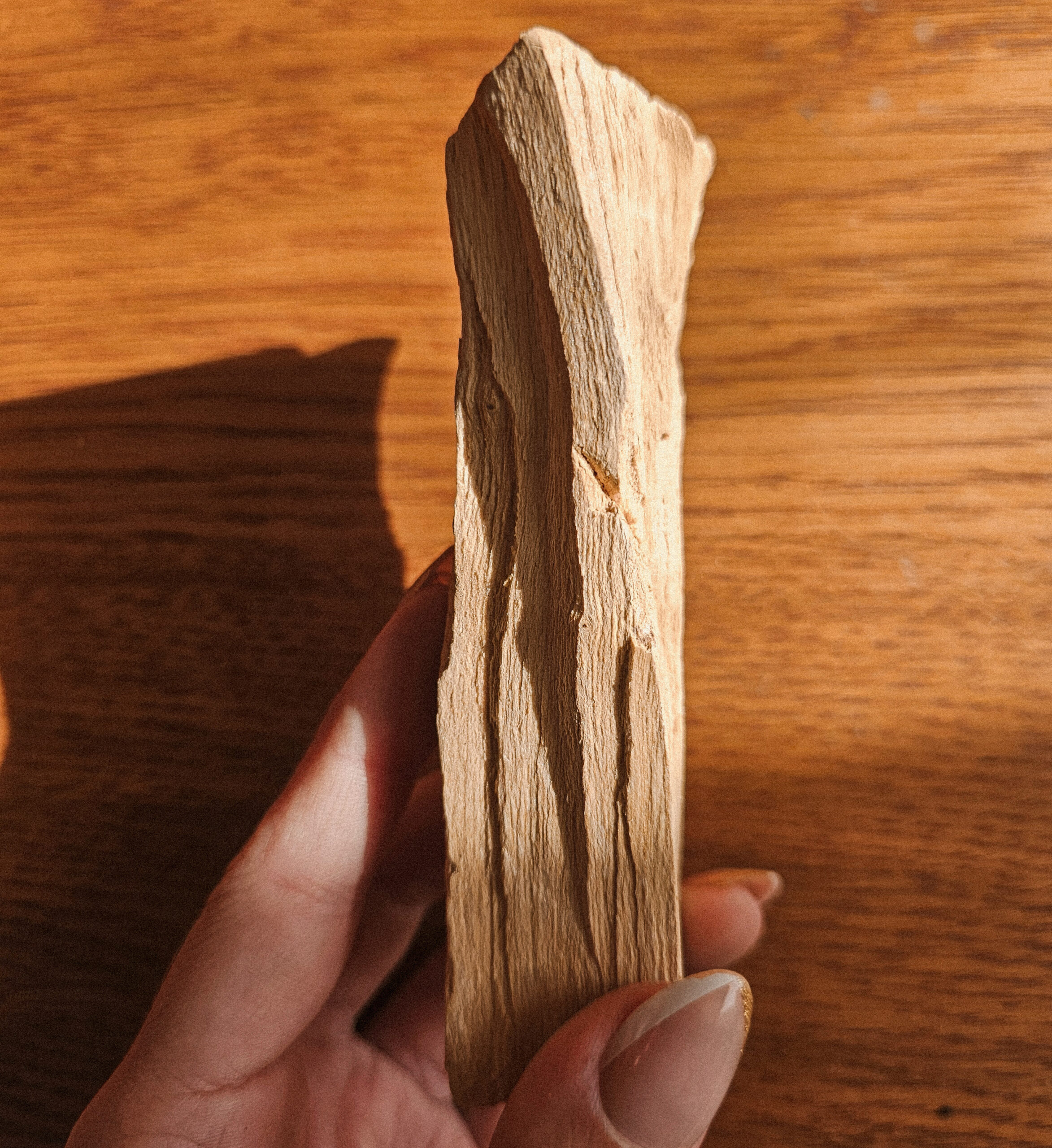 PALO SANTO SHAMADHI PROVENANCE PEROU