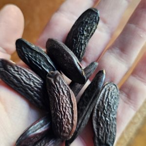 Fève Tonka 250g